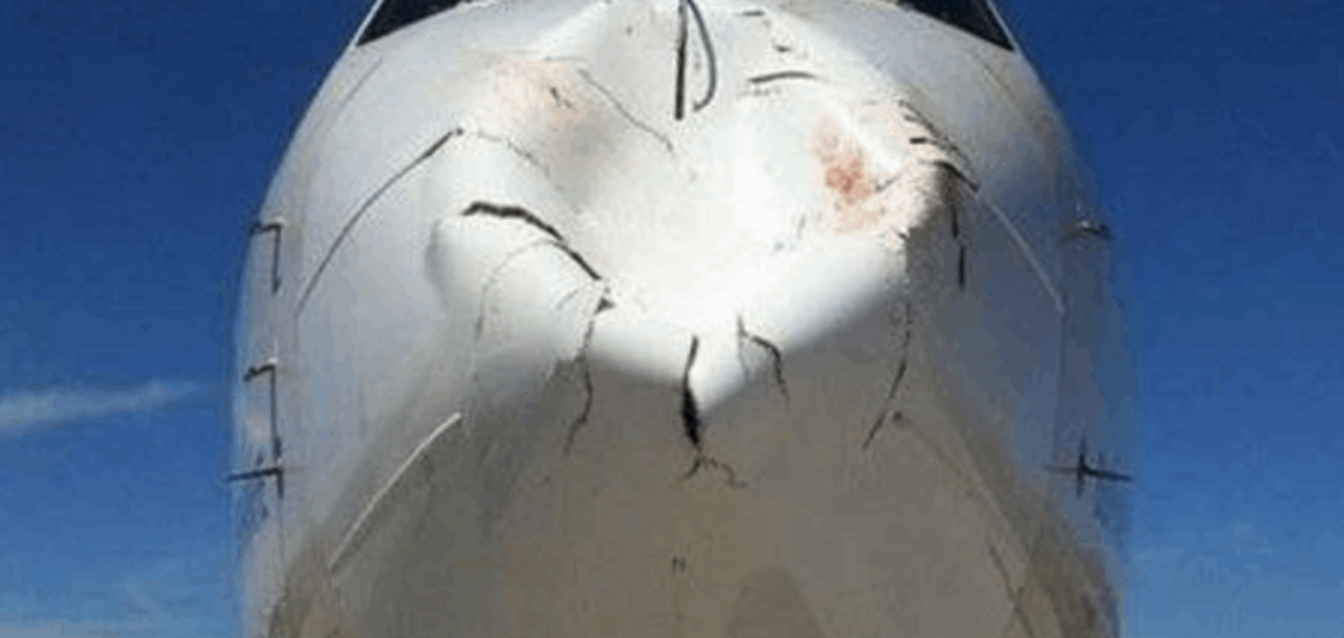 Птицы в полете 'разбили' нос тяжелого 'Боинга': фотофакт