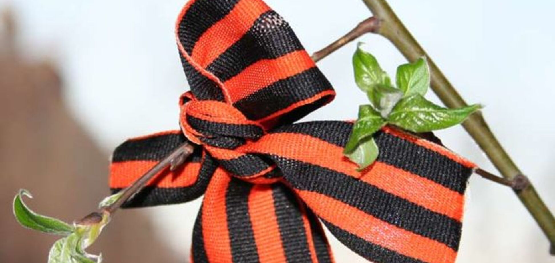 В России третьеклассница отказалась носить георгиевскую ленту и бросила ее под ноги