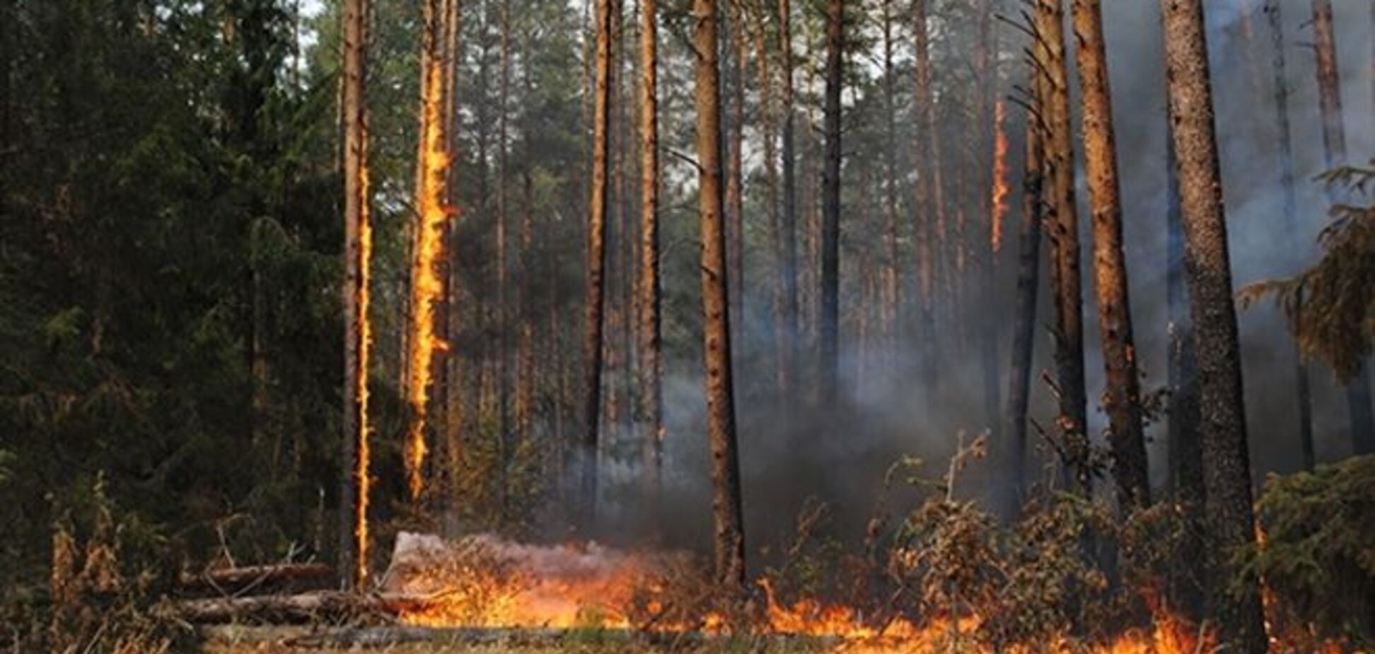 В России возобновились пожары: сразу 8 возгораний