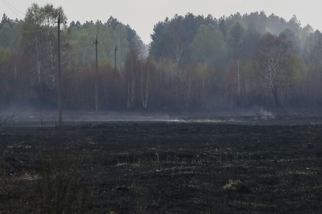 Экологи сообщили о радиационном фоне после пожара в Чернобыле