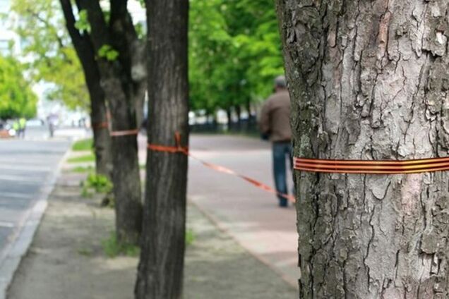 В Николаеве неизвестные повязали деревья георгиевской лентой и повесили триколор