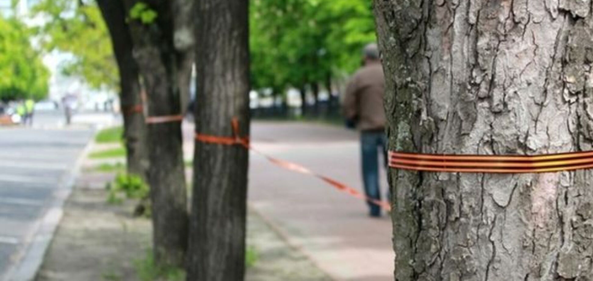 В Николаеве неизвестные повязали деревья георгиевской лентой и повесили триколор