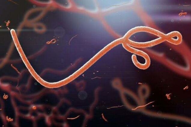 Перенесшим Эболу рекомендуют воздержаться от секса