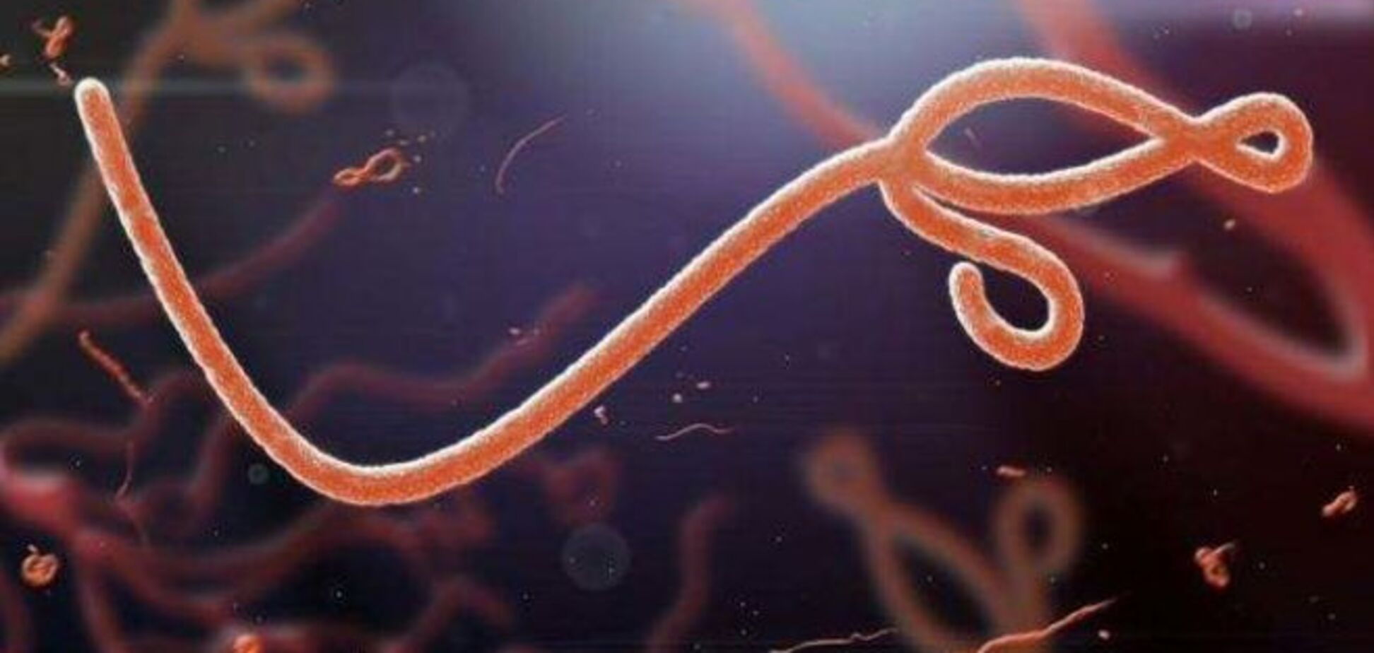Перенесшим Эболу рекомендуют воздержаться от секса