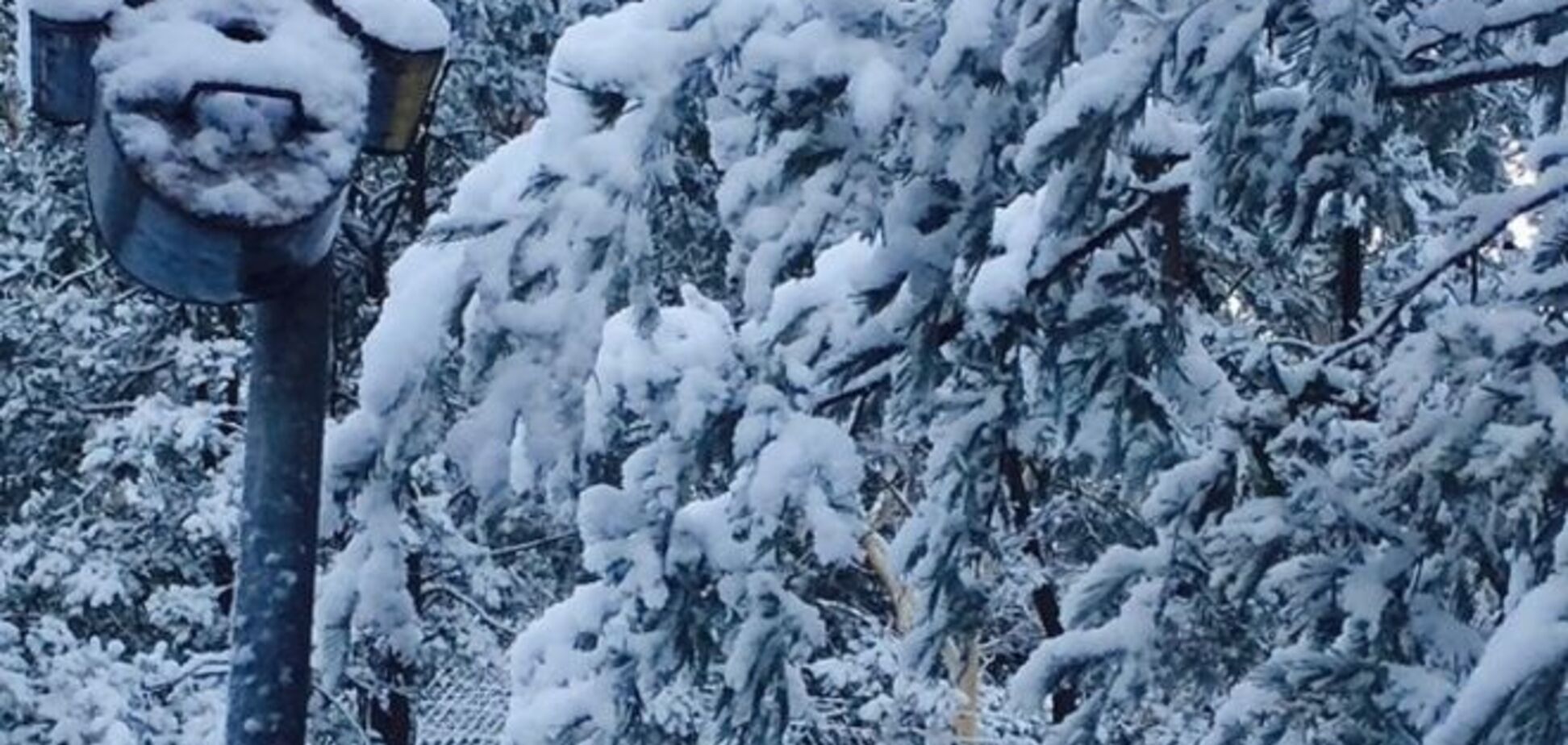 Зима-лето! Австралию завалило снегом: удивительные фото
