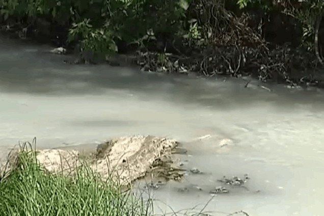 Екологічна катастрофа на Харківщині: мертва вода загрожує трьом областям