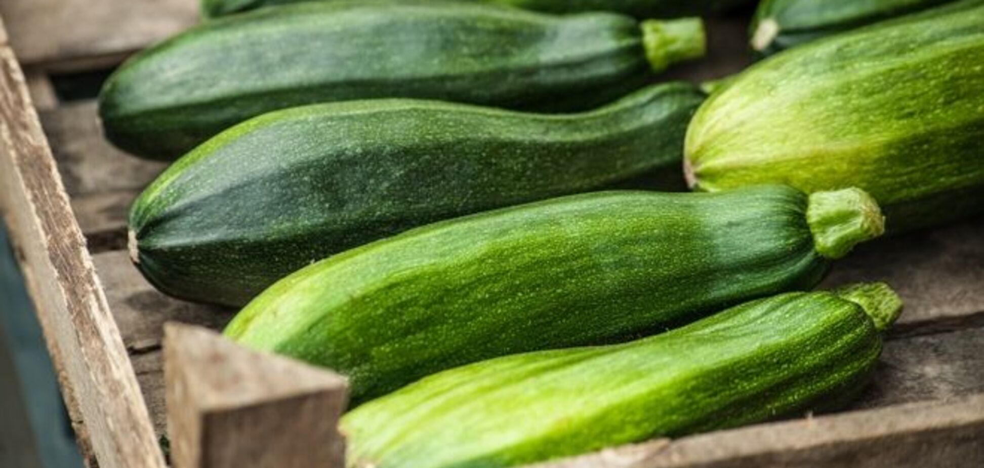 Чем полезны кабачки: лечебные и диетические свойства