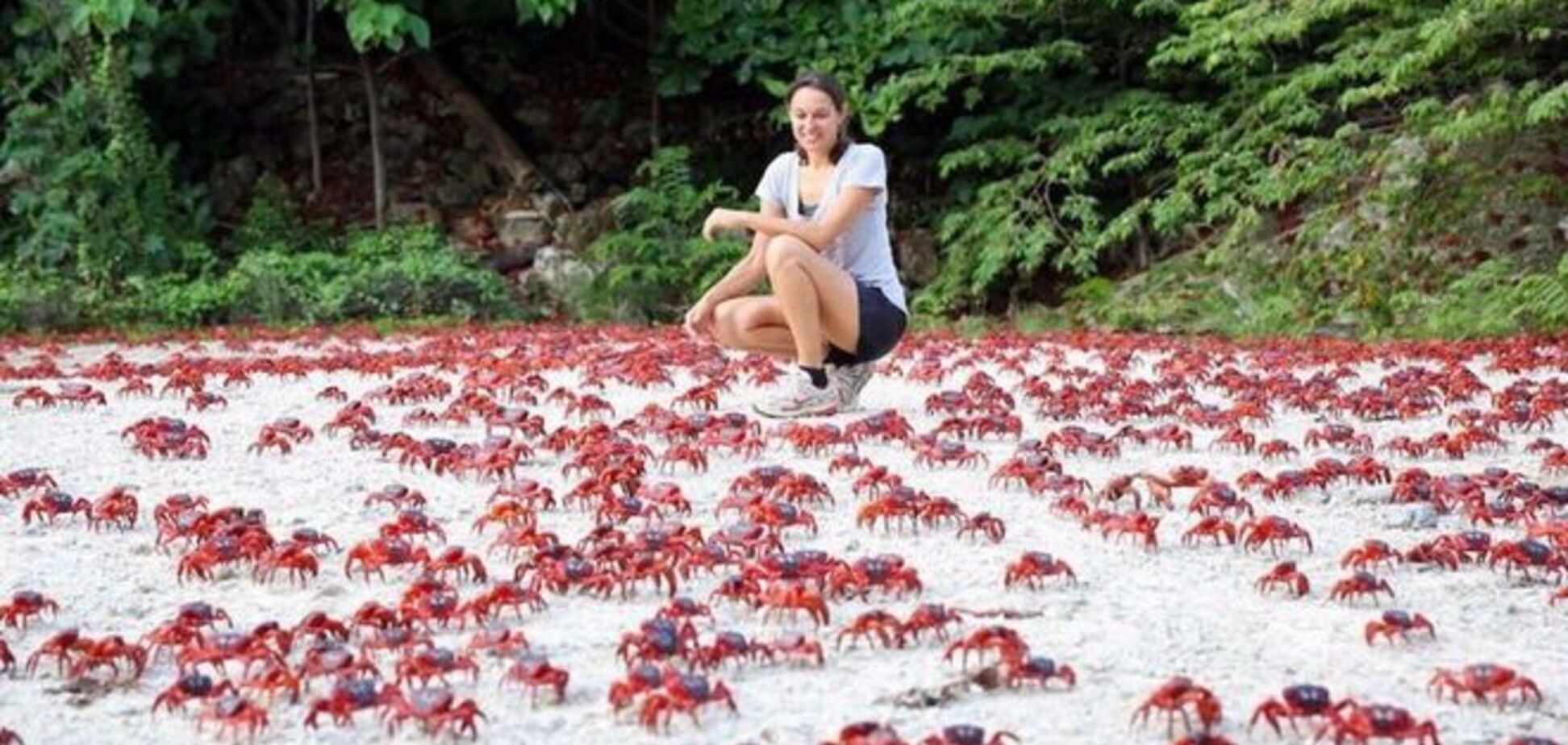 20 мест на Земле, где животных больше, чем людей