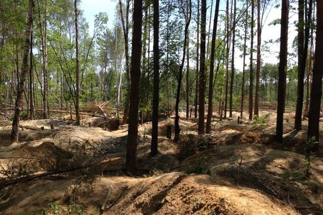 'Черные копатели' янтаря на Житомирщине установили блокпосты: видео и фото нелегального бизнеса