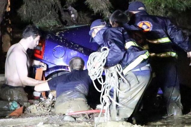 Тбилиси сегодня: десять погибших, по улицам плавают крокодилы и бродят львы