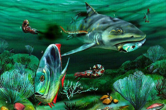 Ученые раскрыли тайну самого массового вымирания живых существ в истории