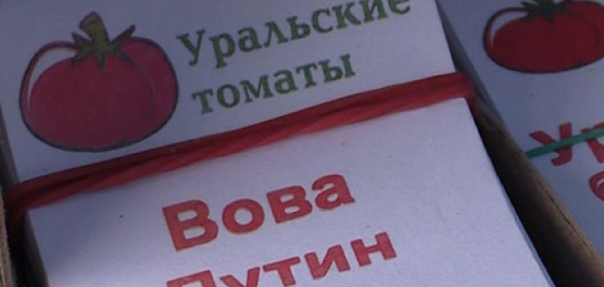 В России вывели особый сорт помидоров – 'Вова Путин': 'томат огромен, неприхотлив и вне конкуренции'