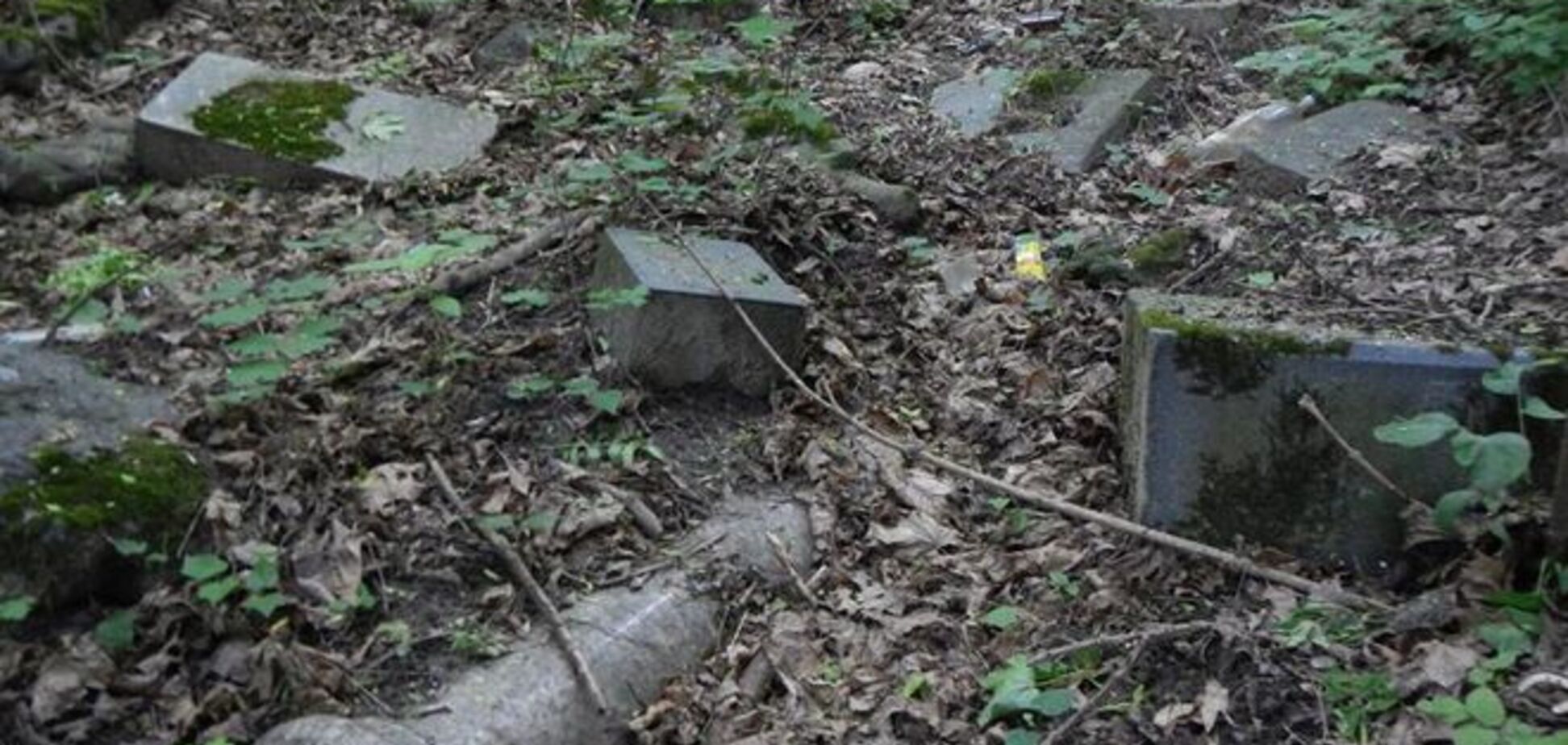 Киевлянин обнаружил в парке разбросанные могильные плиты: фотофакт
