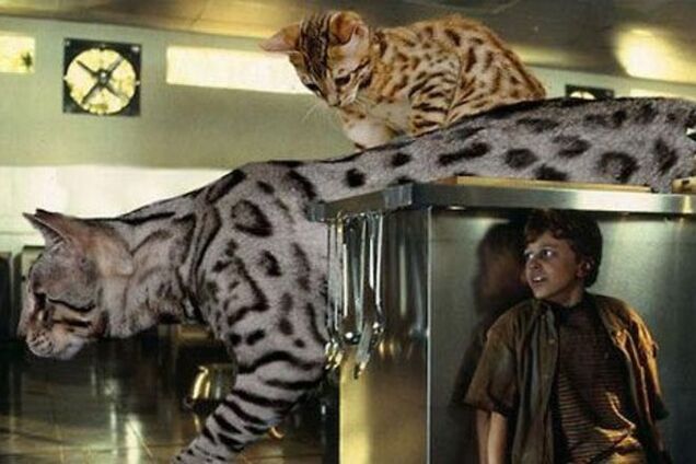 Если бы в 'Парке юрского периода' были котики вместо динозавров: смешные фото