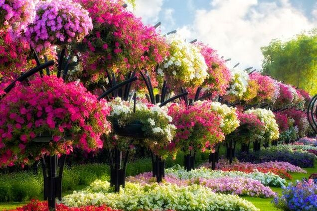 Было бы желание: пустыни, которые превратили в роскошные сады и оазисы