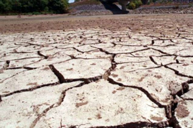Оккупированный Крым потерял почти половину урожая зерновых – Минагрополитики