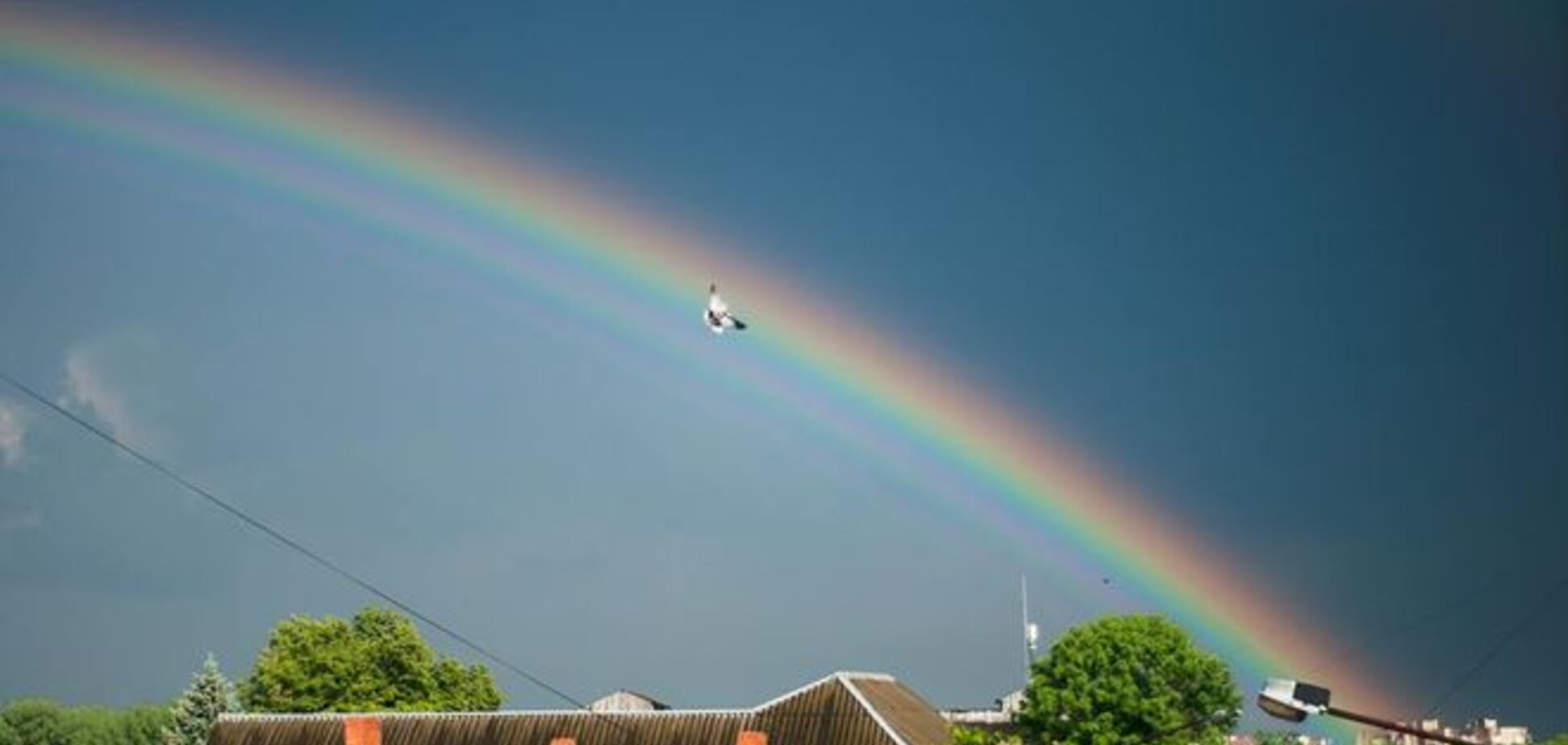 В Ивано-Франковске случайно засняли 'птицу мира' на фоне радуги