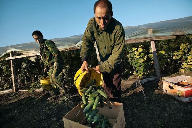 В России митрополит одобрил сдачу земли в Сибири китайцам