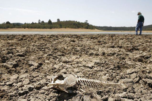 Землю ожидает массовое вымирание: человек исчезнет как вид