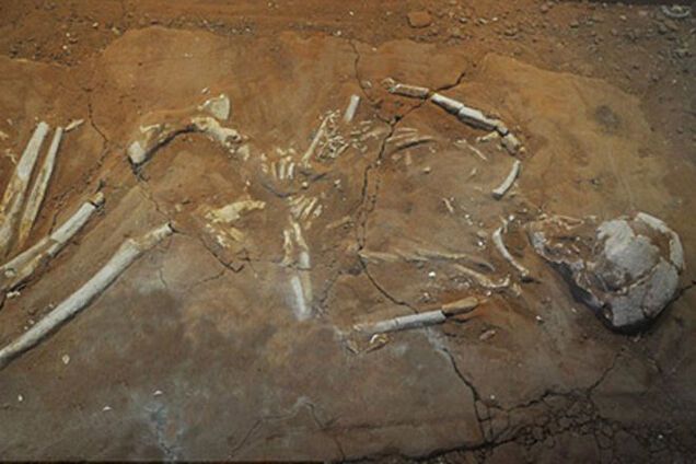 В Греции раскопали могилы 'восставших' мертвецов