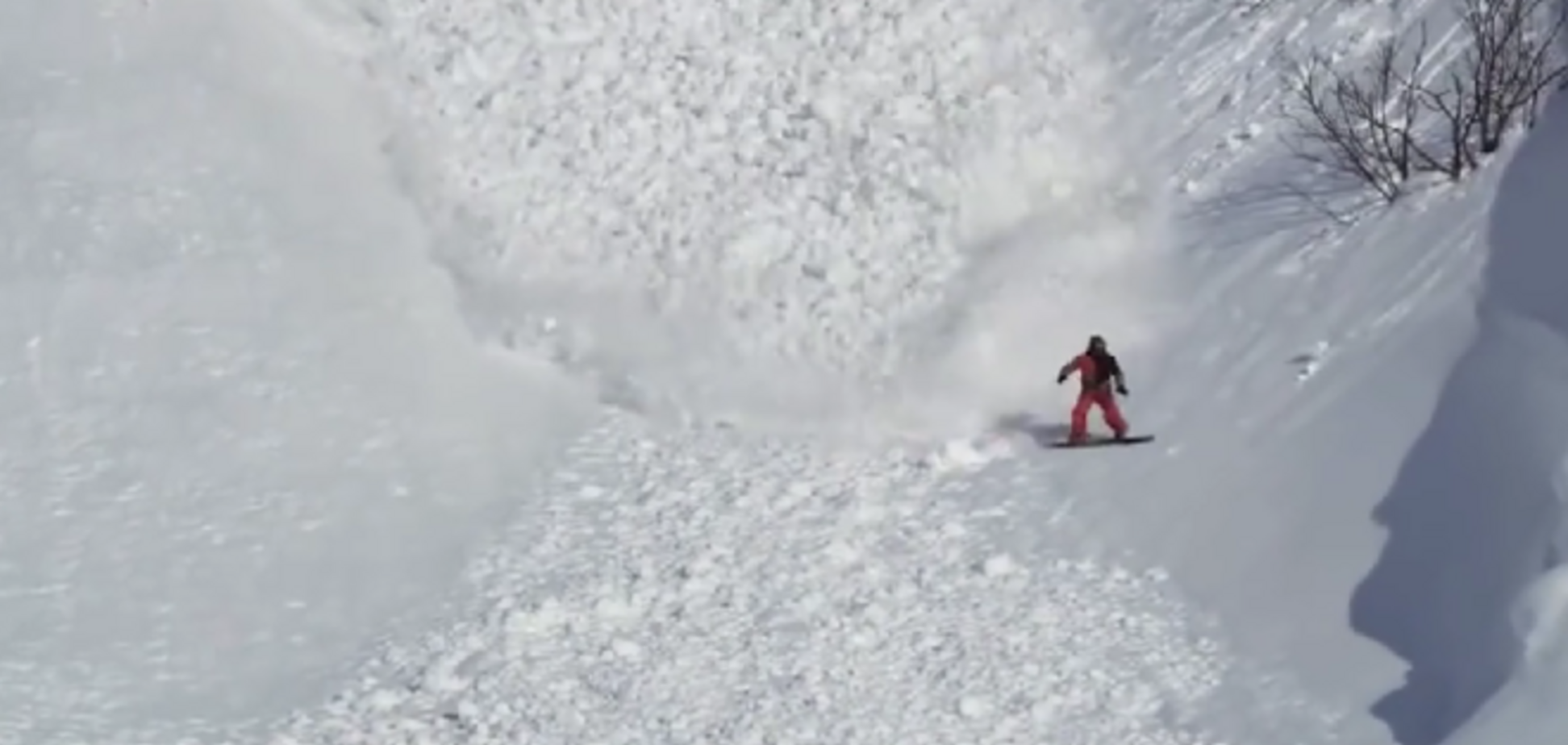 Отчаянный заяц промчал сквозь снежную лавину: опубликовано видео