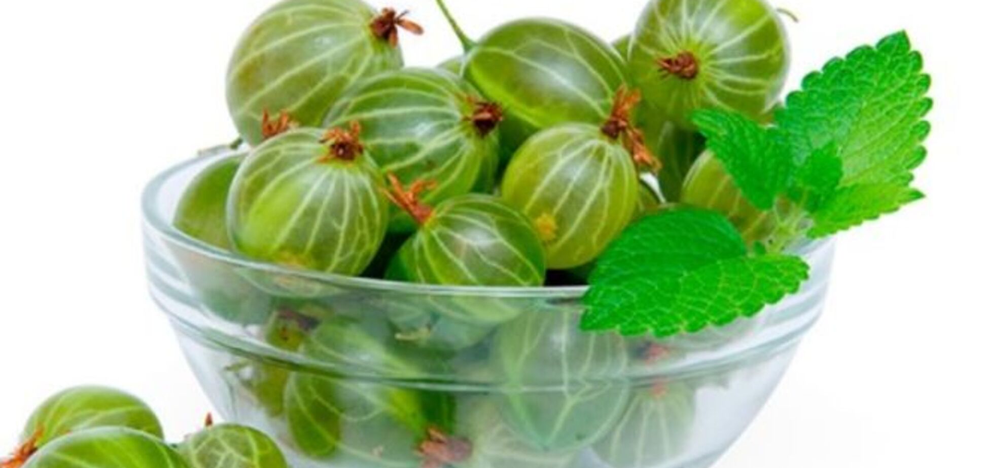 Чай с крыжовником: рецепт вкусного и полезного напитка