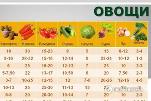 Как отличается стоимость "натурпродуктов" в разных регионах Украины: обзор цен