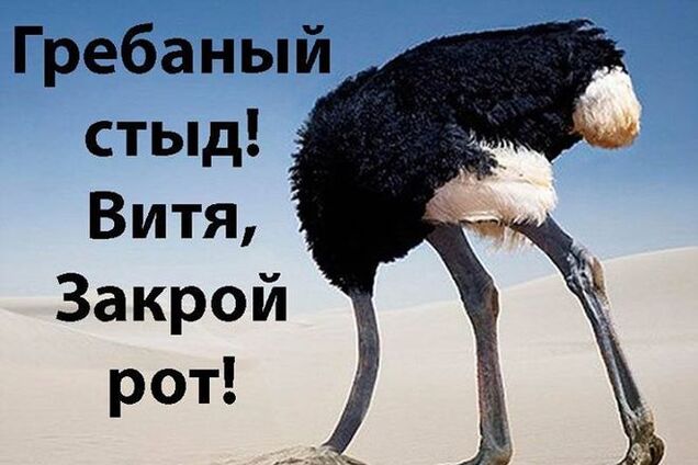 Вечное сияние чистого страуса: соцсети взорвались 'перлами' Януковича