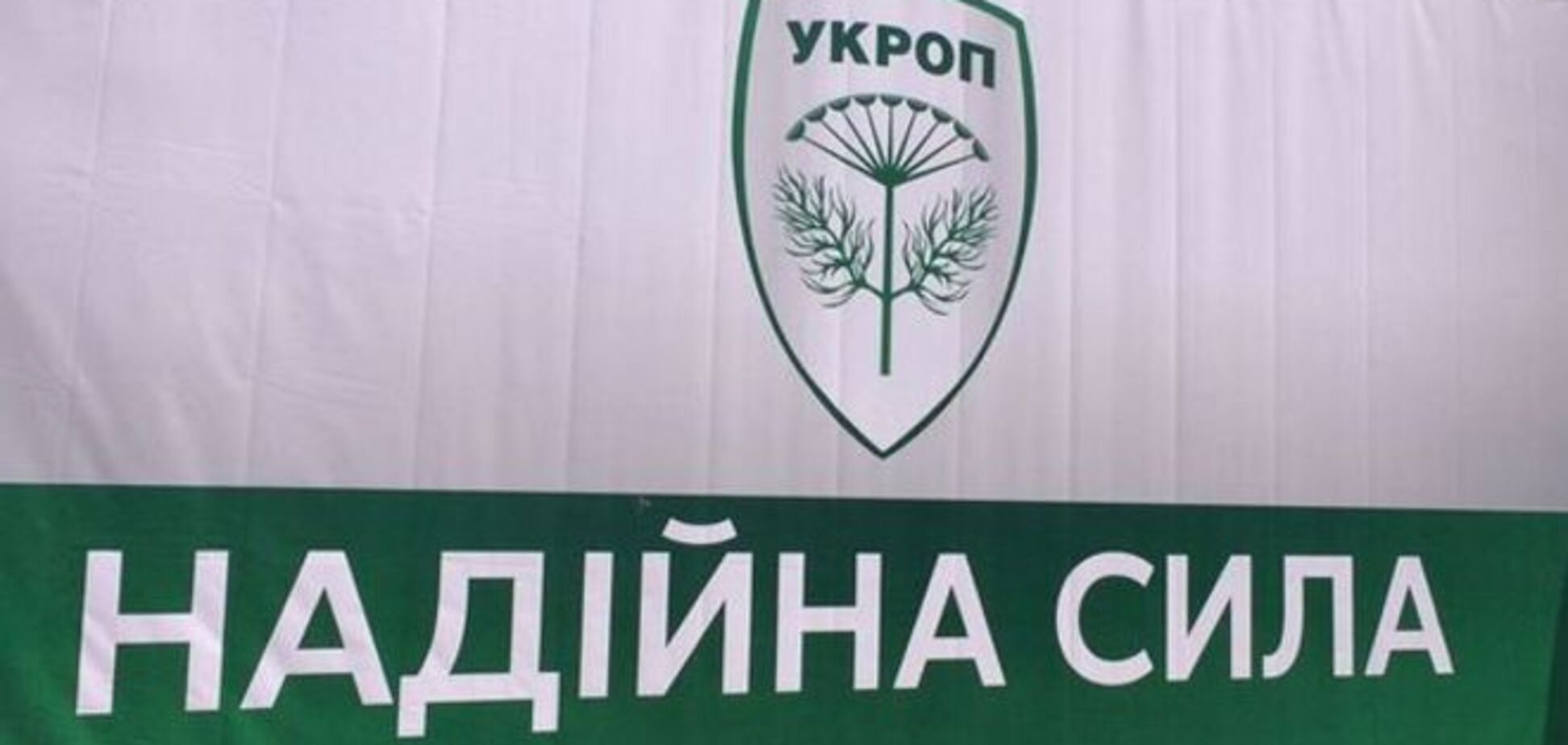 Партія 'Українське об'єднання патріотів' отримала права на використання бренду 'УКРОП'