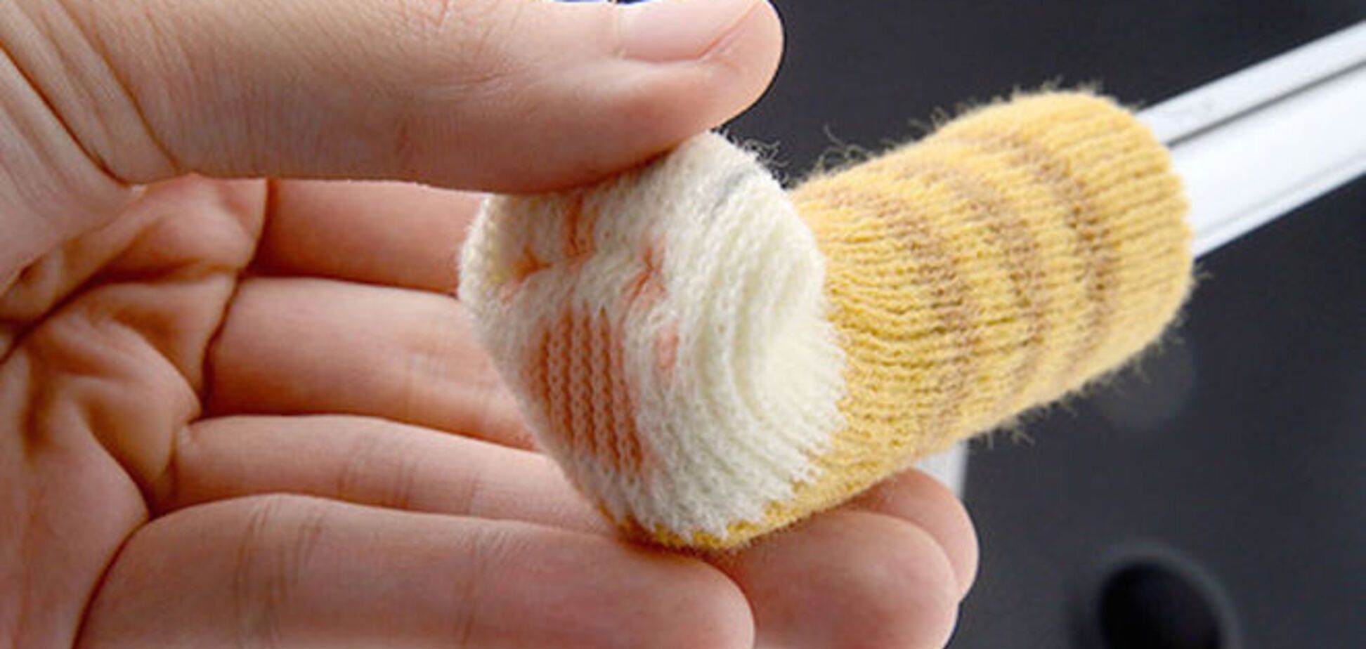 Когда у мебели есть лапки: 8 невероятно милых фото