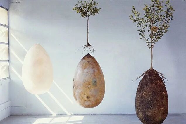 В Италии предложили выращивать деревья из… покойников