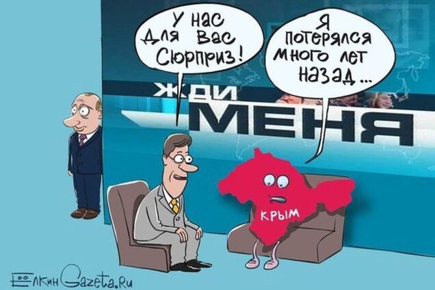 Жирафы в луже