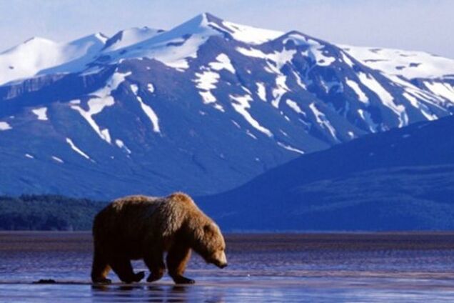 Россия сбрендила: за Крымом последует Аляска