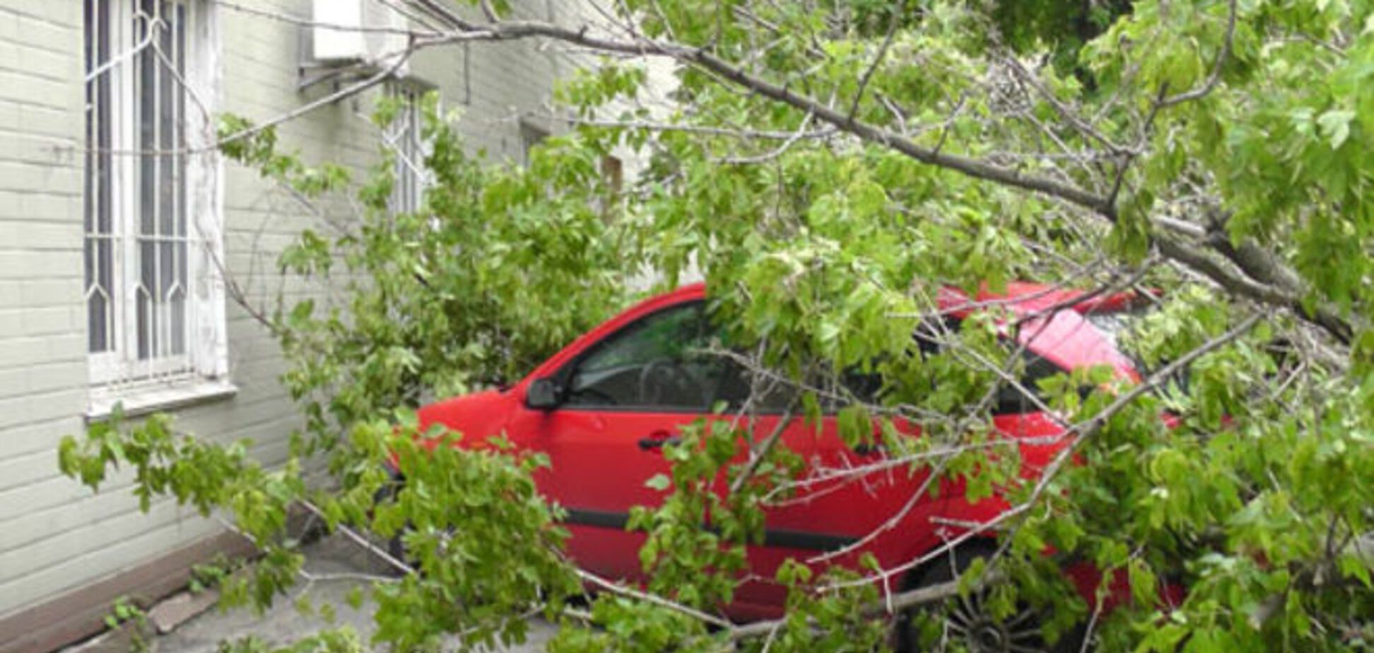 Во время бури в Киеве деревья падали на автомобили: фотофакт
