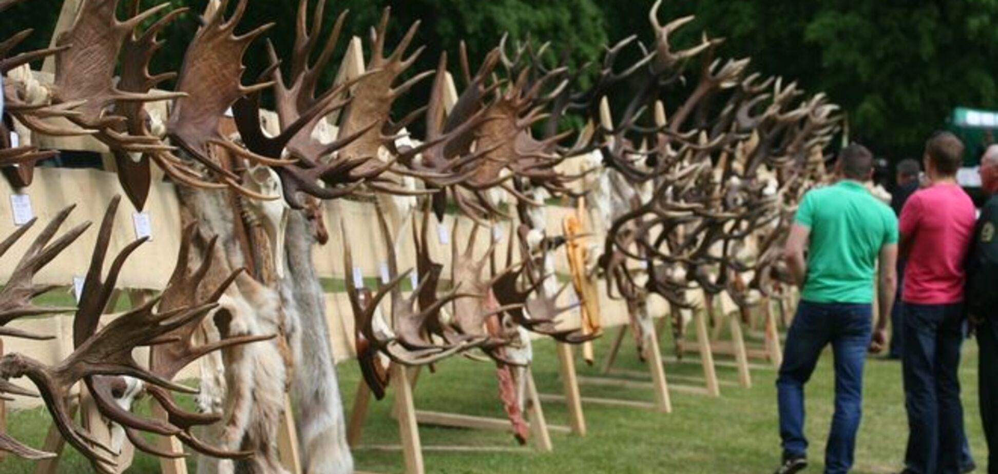 'Брачный зов!' В Беларуси посоревновались лучшие 'самцы' оленей в Европе