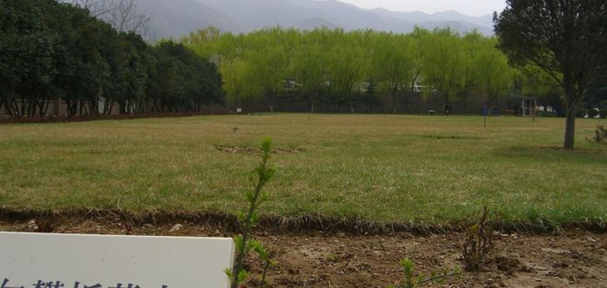 Между Китаем и Россией обнаружили тайный исторический тоннель