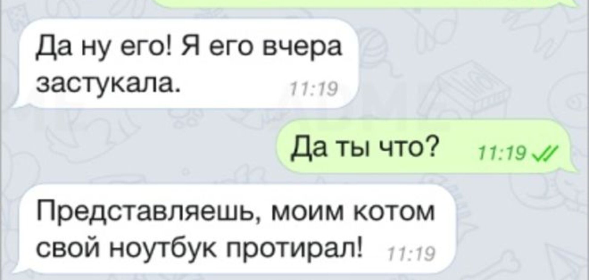 15 лучших СМС о наших любимых питомцах