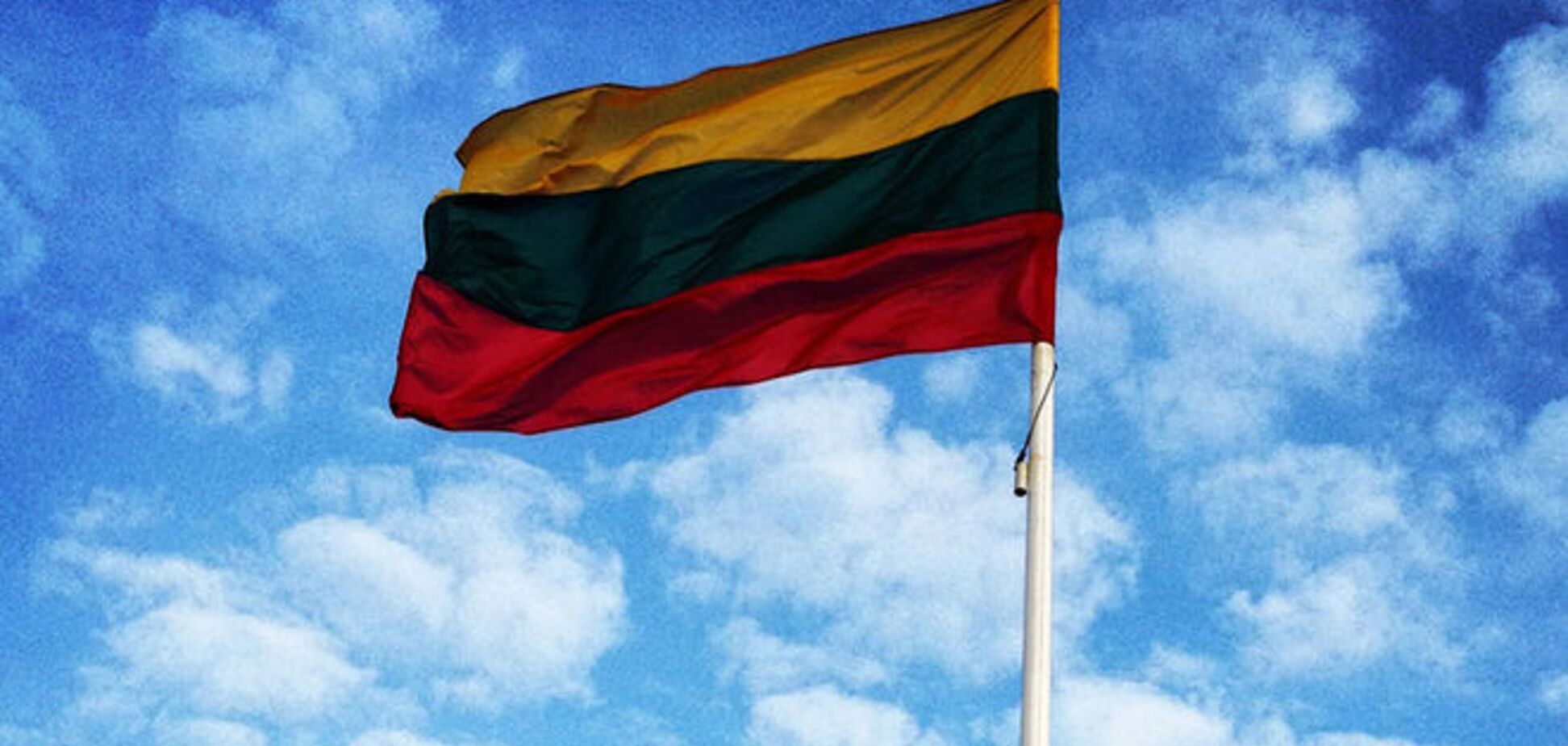 МИД Литвы назвал нападение террористов на Марьинку 'кровавой атакой'