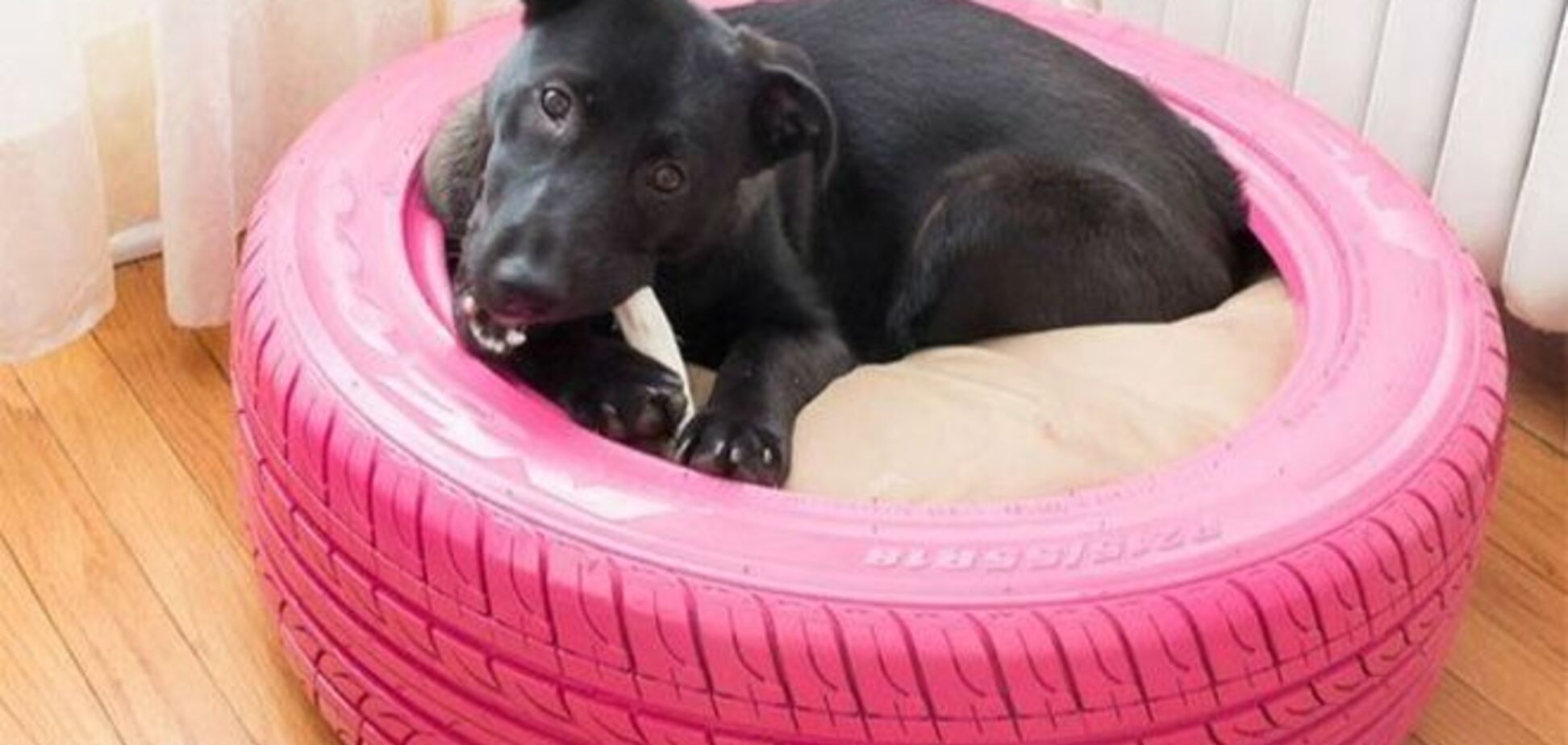 Как можно использовать старые шины: 25 оригинальных идей