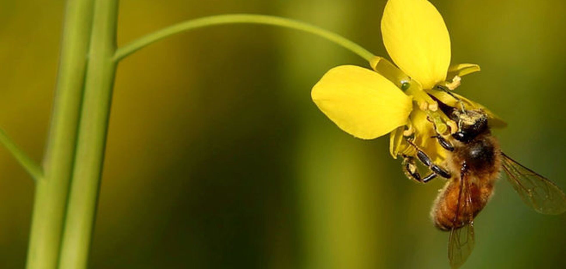 Синоптики предупредили украинцев о погоде в начале недели
