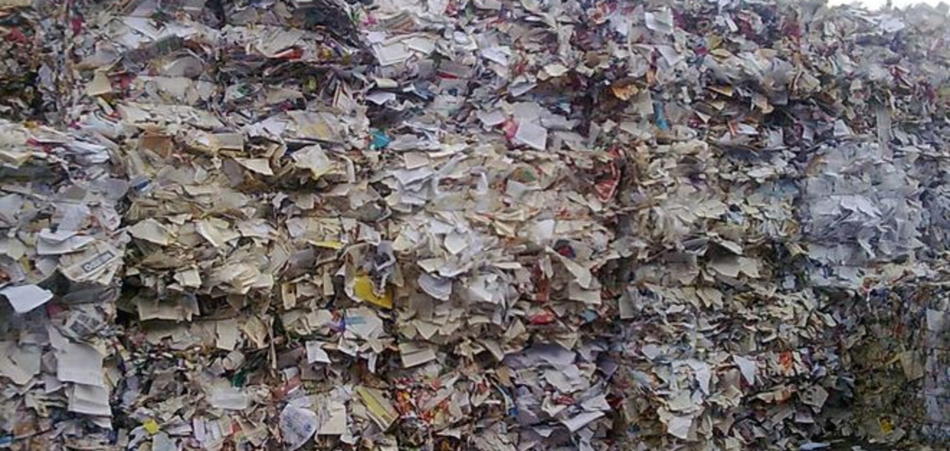 Вместо нефти: ученые сделали из отходов бумаги биотопливо