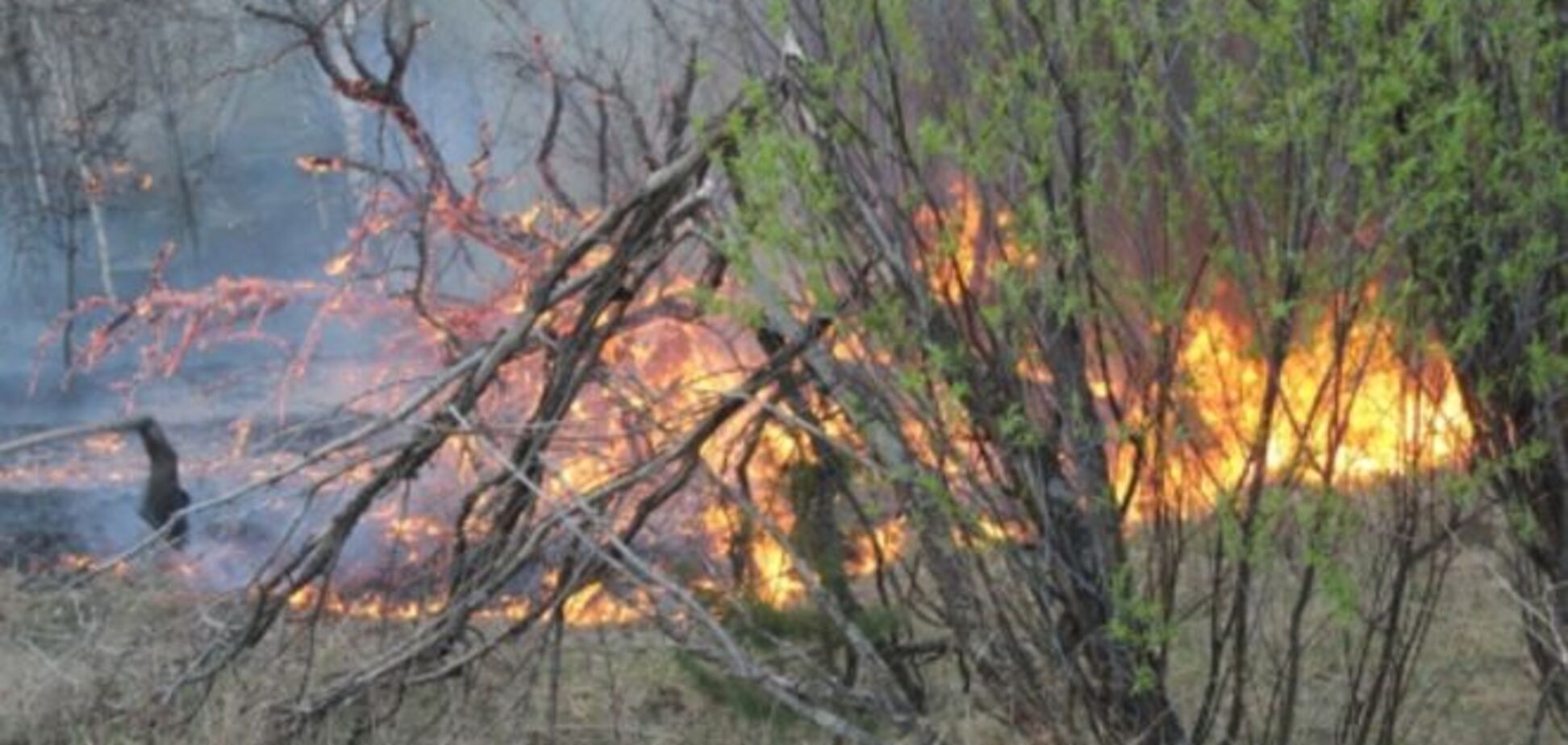 Пожежа поблизу ЧАЕС: рятувальники оприлюднили останні дані 