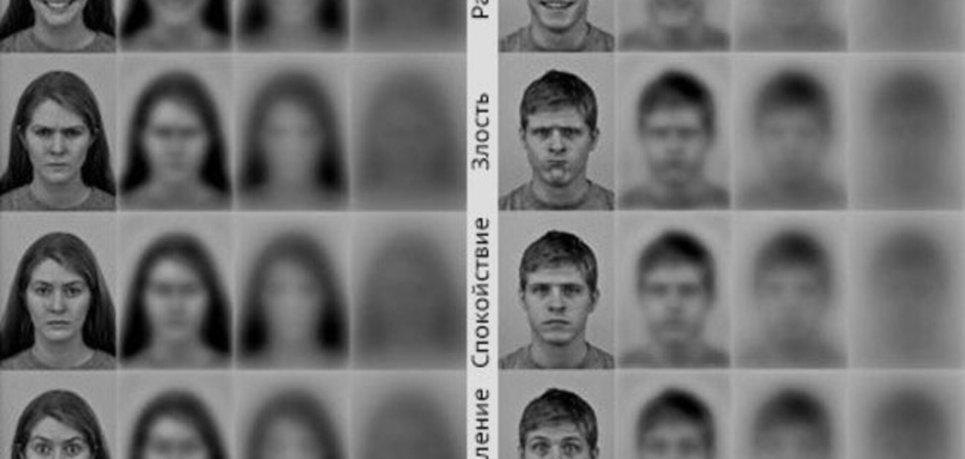 Ученые показали, как новорожденные видят людей