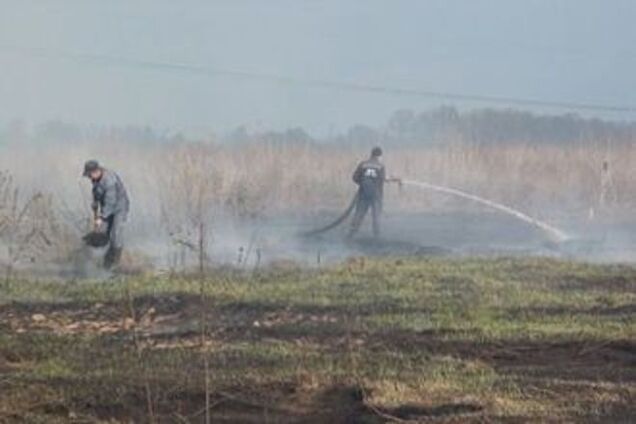 В ГосЧС рассказали, кто виноват в торфяных пожарах возле ЧАЭС