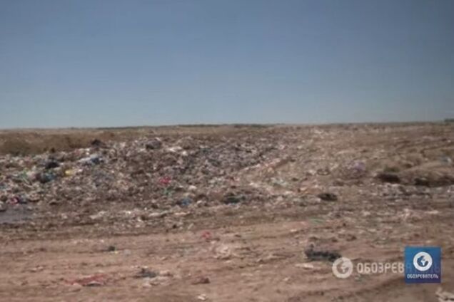 В аэропорту 'Борисполь' опять объявили войну птицам на мусорном полигоне