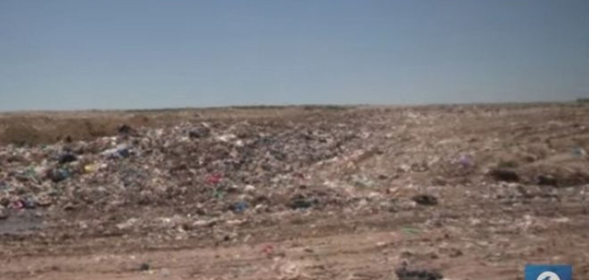 В аеропорту 'Бориспіль' знову оголосили війну птахам на сміттєвому полігоні