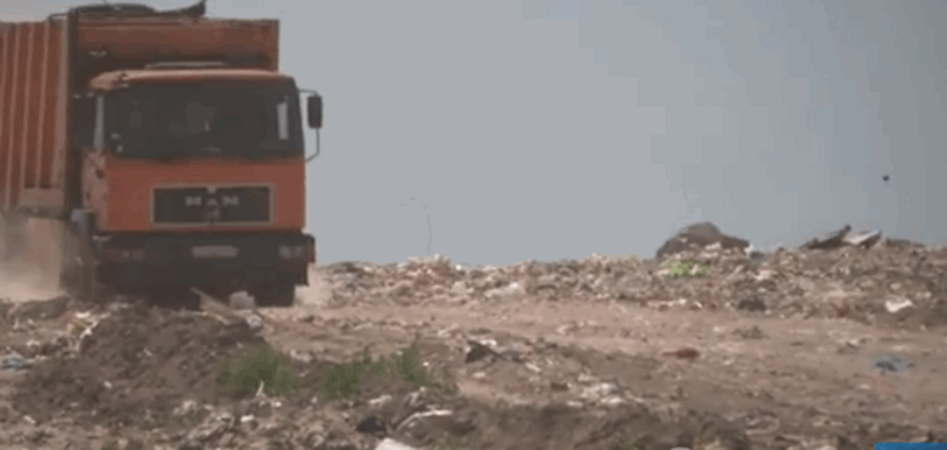 Птицы-камикадзе с мусорного полигона атакуют самолеты в 'Борисполе'?