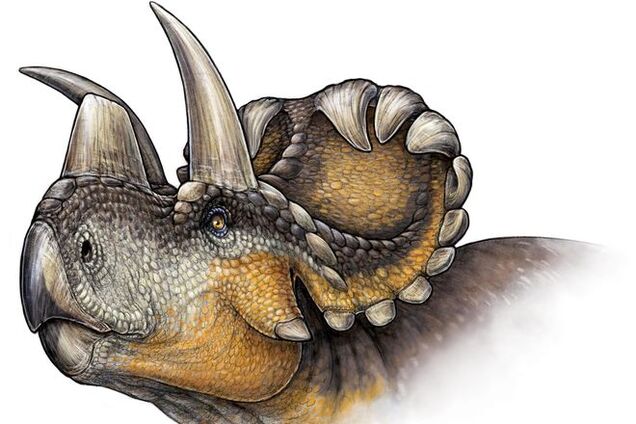Палеонтологи обнаружили нового 'крючковатого' динозавра