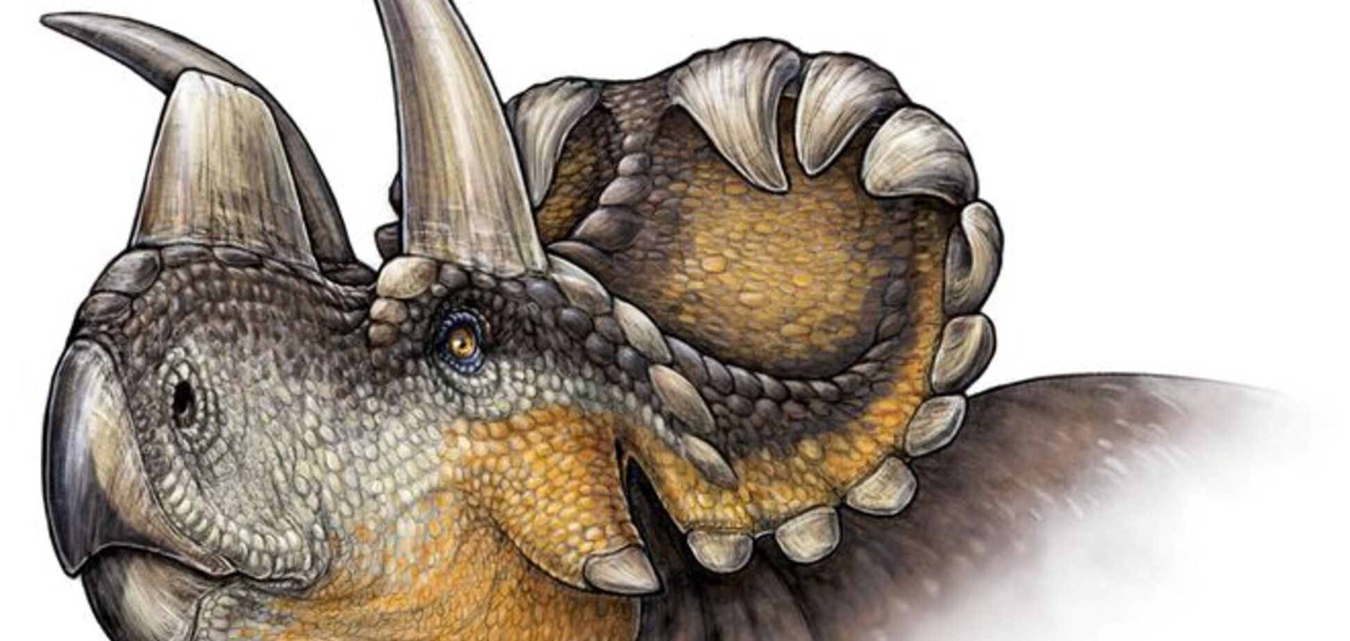 Палеонтологи обнаружили нового 'крючковатого' динозавра