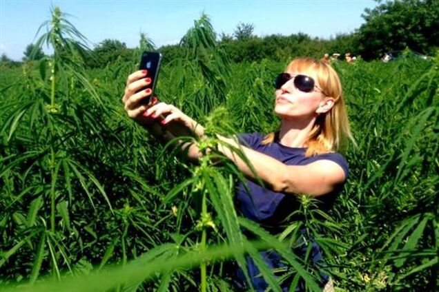 Селфи в конопле: на Закарпатье появилось новое развлечение для туристов